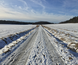 Sillviks Vänner Vägen-vinter-8066